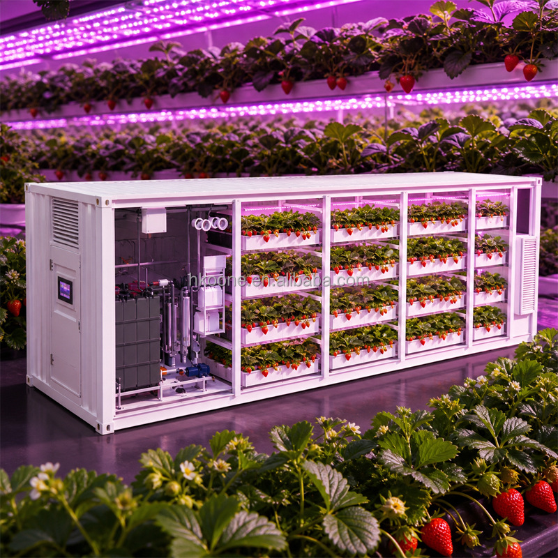 KONTAJNEROVÁ HYDROPONICKÁ FARMA NA JAHODY
