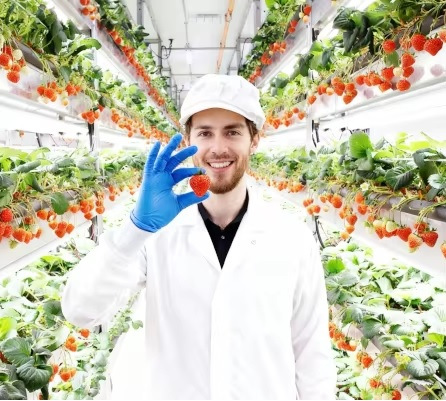 KONTAJNEROVÁ HYDROPONICKÁ FARMA NA JAHODY 1