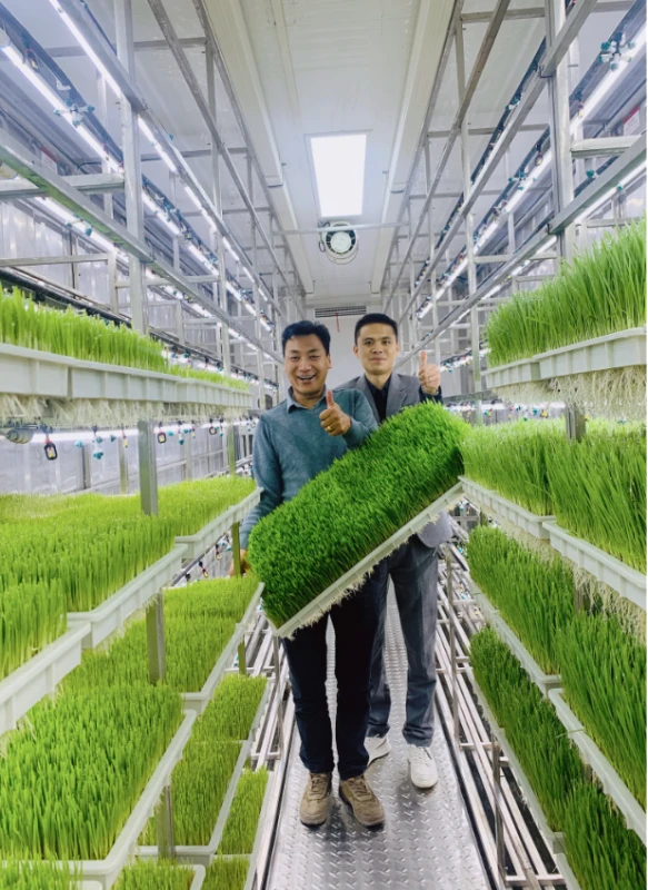 KONTAJNEROVÁ HYDROPONICKÁ FARMA NA KLÍČKY DO KŔMNEJ ZMESI 1000KG/DEŇ 2
