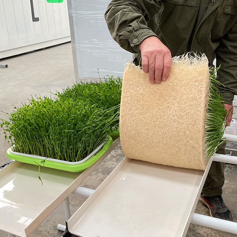 KONTAJNEROVÁ HYDROPONICKÁ FARMA NA KLÍČKY DO KŔMNEJ ZMESI 1000KG/DEŇ 3