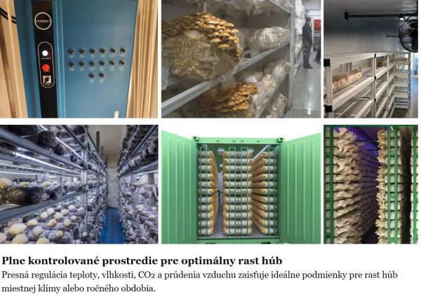 KONTAJNEROVÁ HYDROPONICKÁ FARMA NA HUBY - lodný kontajner veľkosť 2