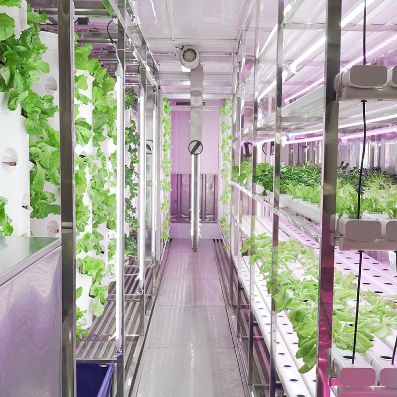 VERTIKÁLNA INTERIÉROVÁ HYDROPONICKÁ VEŽA - HALOVÁ/KONTAJNEROVÁ FARMA 11