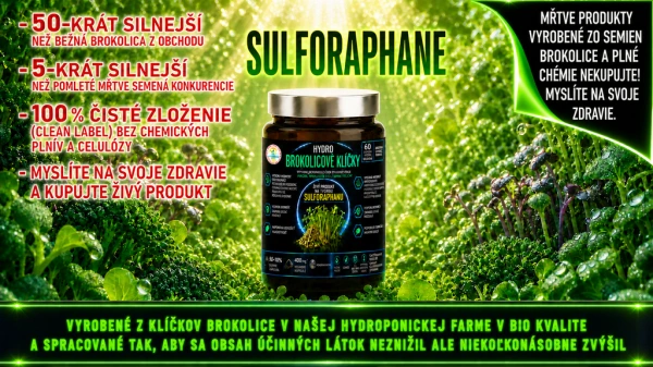 HYDRO BROCCOLI SPROUTS 400mg, 60+10% kps GRATIS
