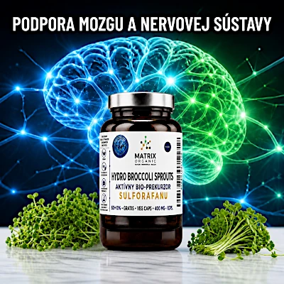 podpora mozgu a nervovej sústavy