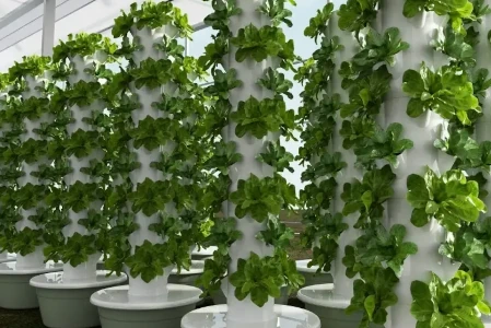 VERTIKÁLNA INTERIÉROVÁ HYDROPONICKÁ VEŽA - HALOVÁ/KONTAJNEROVÁ FARMA