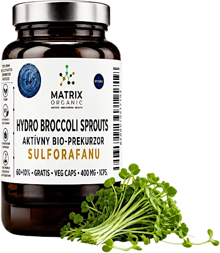HYDRO BROCCOLI SPROUTS